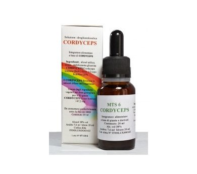 CORDYCEPS (Cordyceps sinensis) 20 ml MTS 06