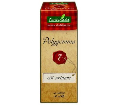 Polygemma 07 - Drogi moczowe