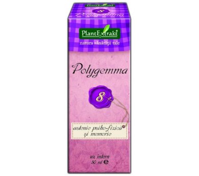 Polygemma 08 - Przemęczenie psychofizyczne i pamięć