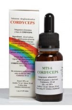 CORDYCEPS (Cordyceps sinensis) 20 ml MTS 06