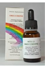 ORECCHIONE (Pleurotus ostreatus) 20 ml MTS 13