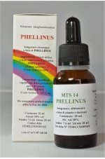PHELLINUS (Fomes ignarius L.) 20 ml