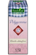 Polygemma 12 - Nerki - oczyszczanie