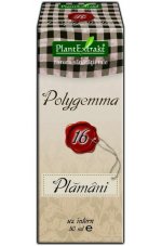 Polygemma 16 - Płuca