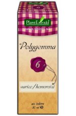Polygemma 06 - Hemoroidy