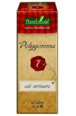Polygemma 07 - Drogi moczowe
