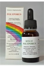 POLYPORUS ( Polyporus umbellatus) 20 ml - MTS 15