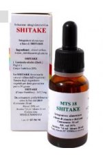 SHITAKE (Lentinula edodes) 20 ml - MTS 18
